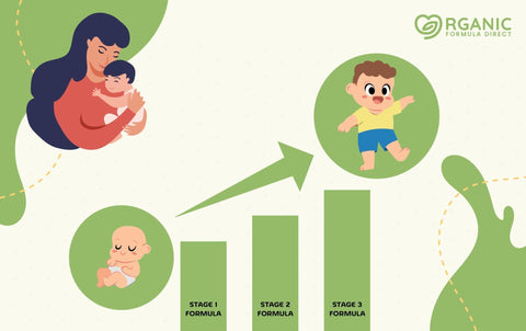 European Baby Formula Stages Explained